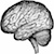 A brain, aka mind.. for mindful. Get it?